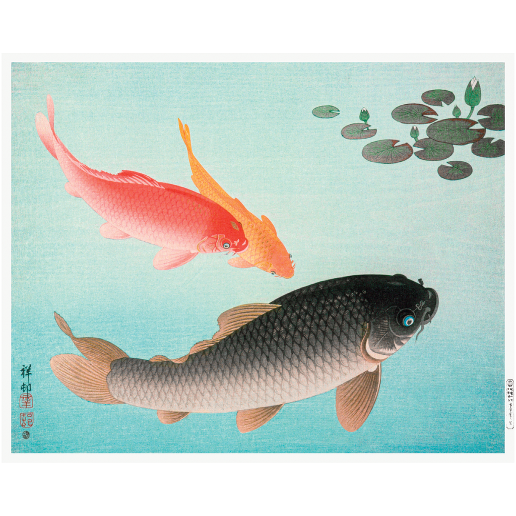 GOLDEN TENCH, COMMON CARP, ROYAL CARP print